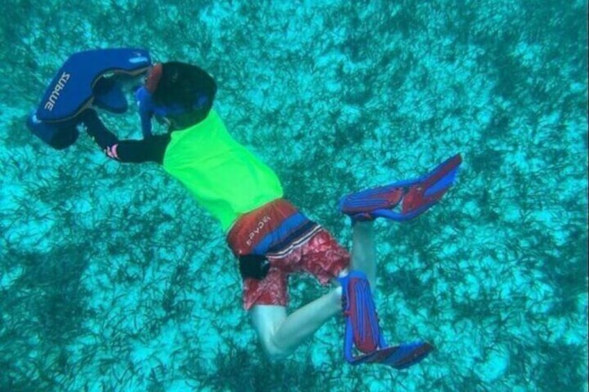A person scuba diving underwater. 5