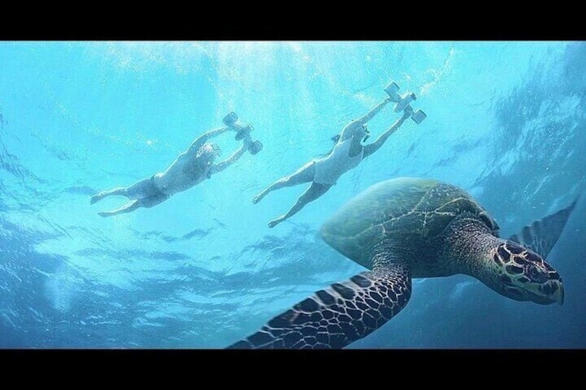 A sea turtle swimming with two divers underwater. 2