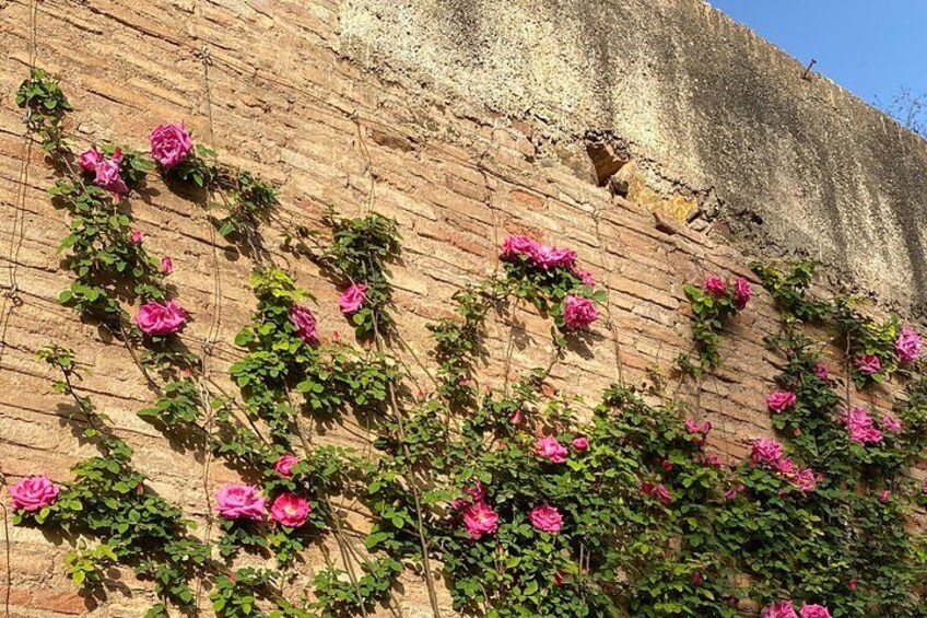 Private Tour to La Alhambra de Granada from Malaga 2