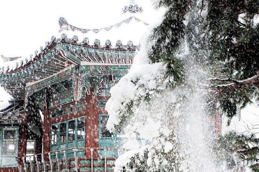Seoul Private RV tour, explore real Korea from Past to Future 4