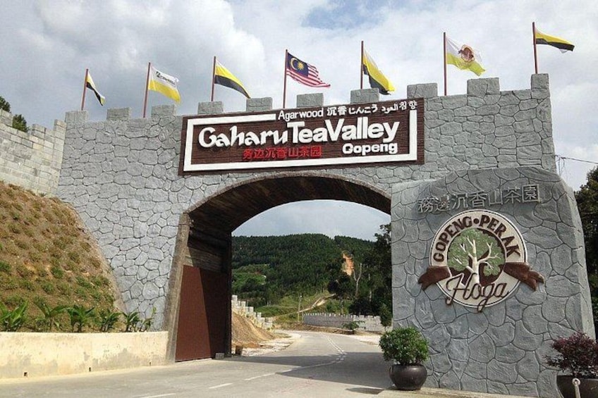 En stenbuet indgang med flag, et skilt der siger 'Gaharu TeaValley Oopeng', og et logo med et træ og teksten 'GOPENG-Perak'. 1