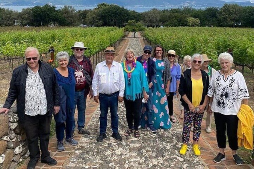 A group of people standing on a stone pathway in a vineyard. 2