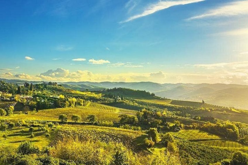 Chianti view 3