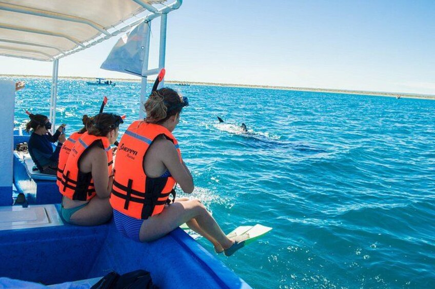 People on a boat wearing life jackets, some snorkeling in the water. 4