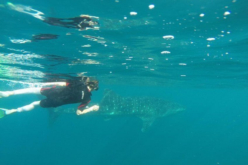 A diver underwater with a shark in the background. 5