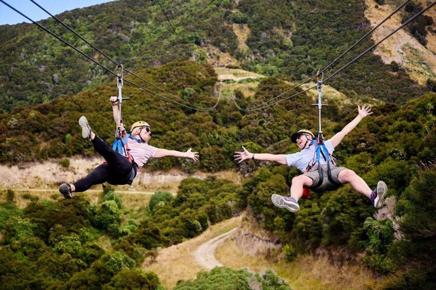 EcoZip Kaikoura share the ride 2