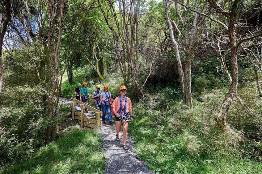 A group of people hiking on a forest trail. 2