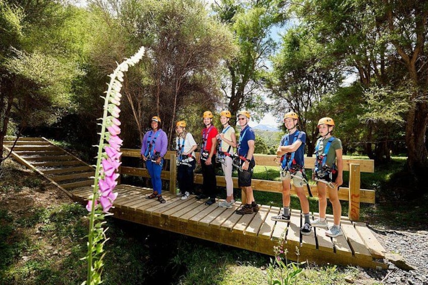 Learn about Kaikoura's fauna and flora 5