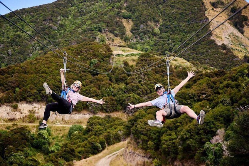 EcoZop Kaikoura dual ziplines 2