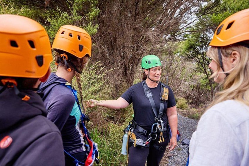 Learn about Kaikoura's fauna and flora 4