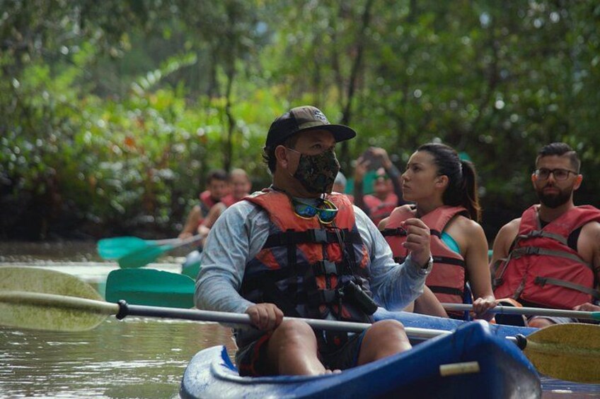 Mangrove Damas Island Kayak Tours 1