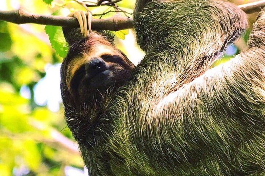 Mangrove Damas Island Kayak Tours 2