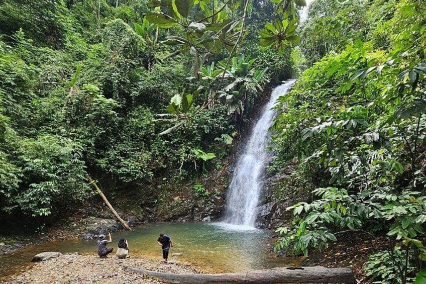 ATV Jungle Trail & Waterfall Experience with Hotel Transfer 1