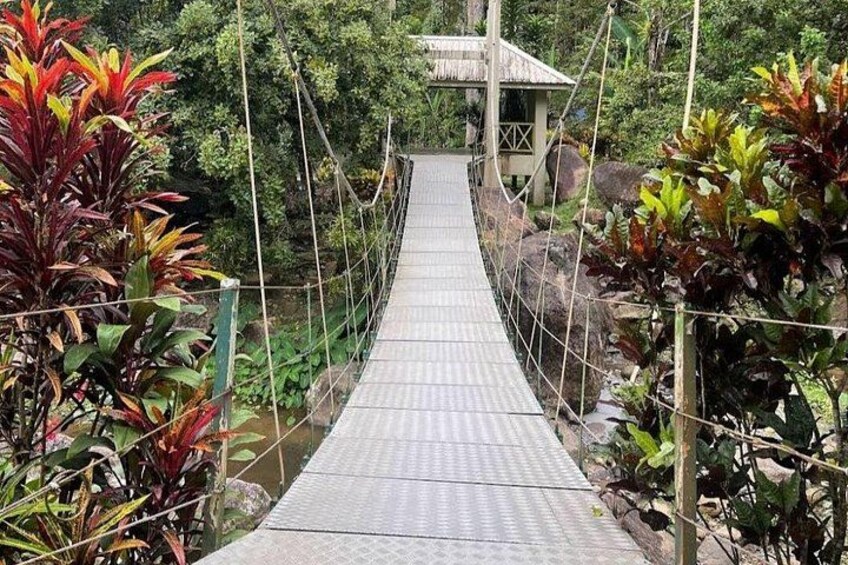 ATV Jungle Trail & Waterfall Experience with Hotel Transfer 3