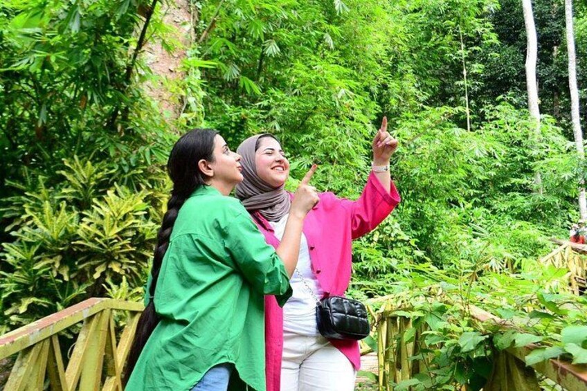 ATV Jungle Trail & Waterfall Experience with Hotel Transfer 4