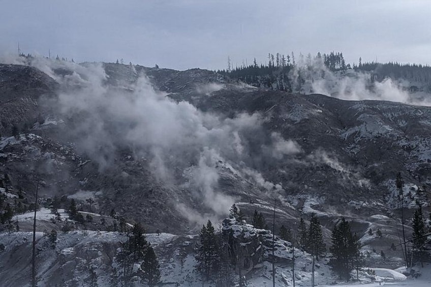 Full-Day Yellowstone Upper (Northern) Loop Tour 3