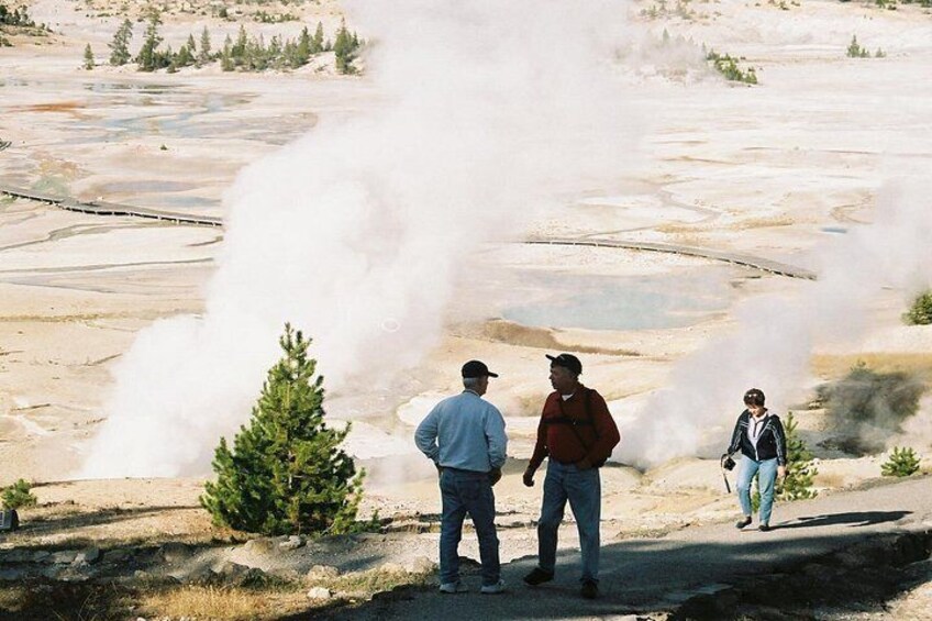 Full-Day Yellowstone Upper (Northern) Loop Tour 2