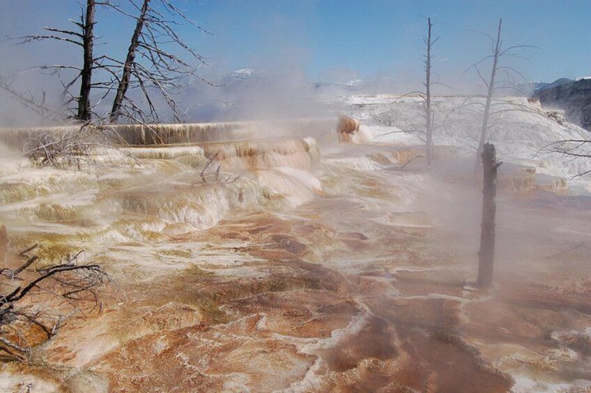 The terraces at Mammoth Hot Springs 3