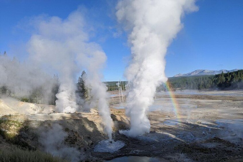Back Basin at Norris Geyser Basin 1