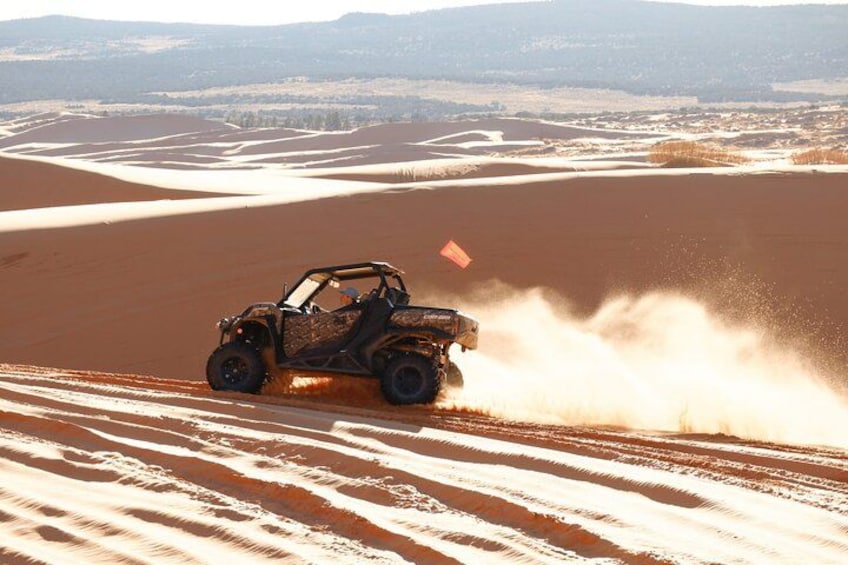A quad bike driving through a desert with sand dunes. 1
