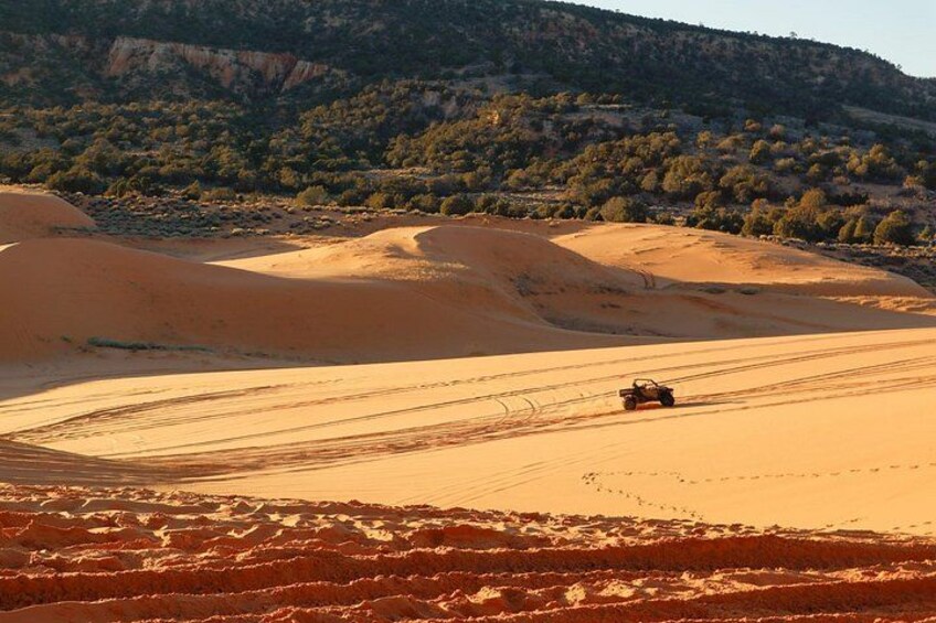 Wüstenlandschaft mit Sanddünen und einem Fahrzeug. 2