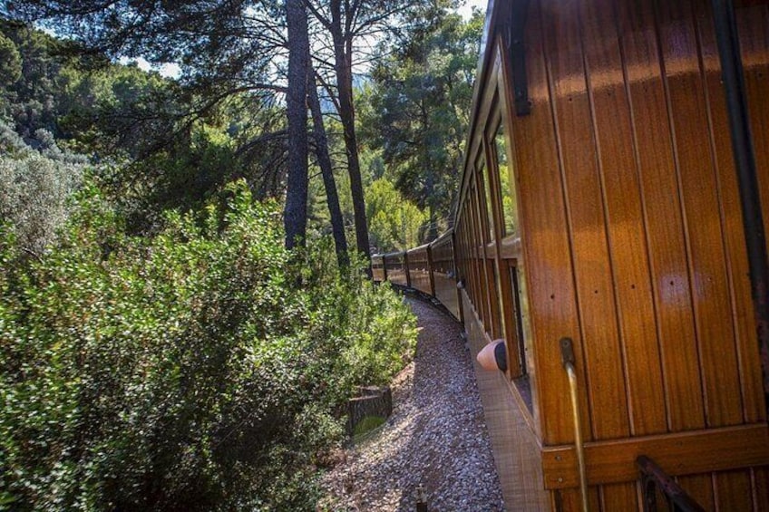 A wooden train track winding through a forest. 4