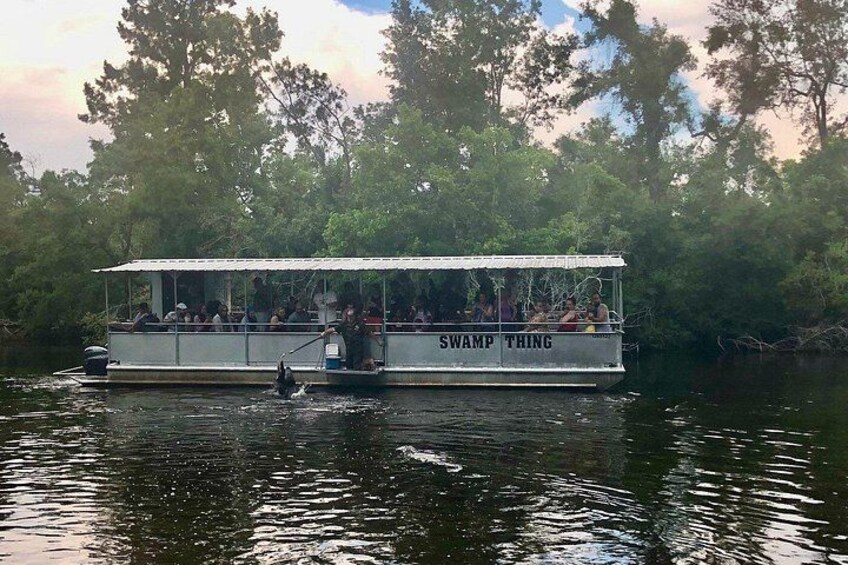 Un bote llamado 'SWAMP THING' en un río rodeado de árboles. 3