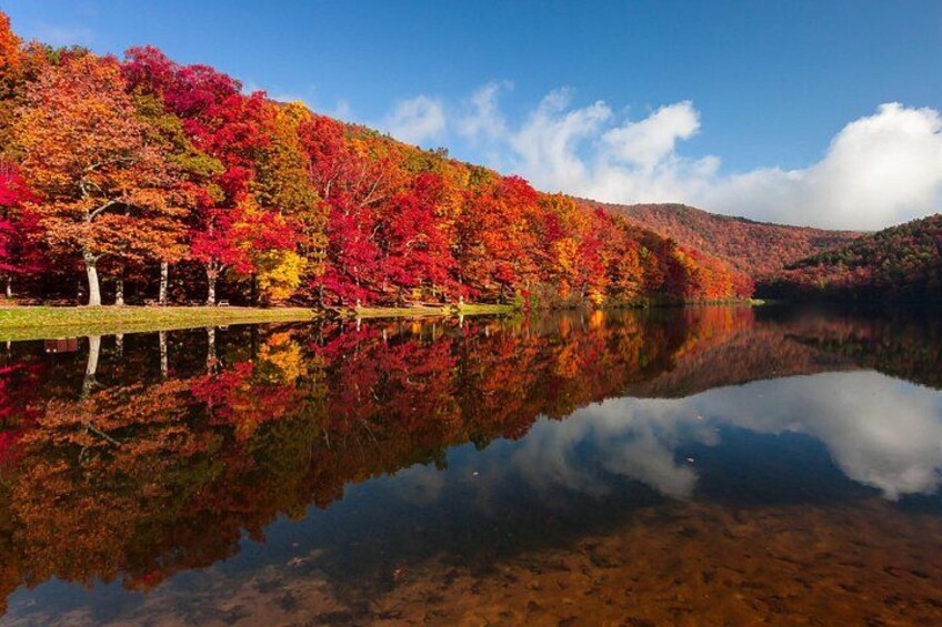 Sherando Lake 5