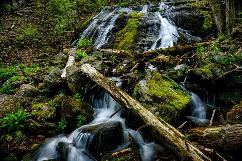 A waterfall cascading over moss-covered rocks in a forest. 2