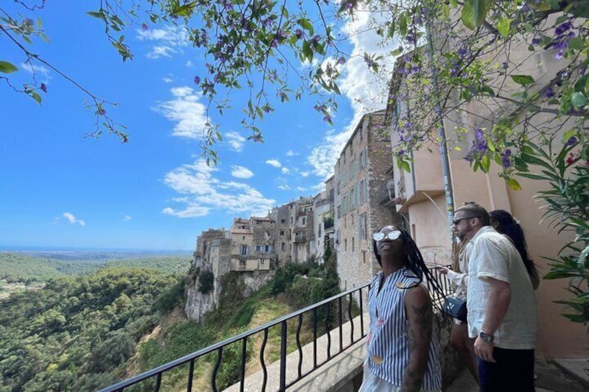 Countryside and Wine Tasting Full-day tour from Cannes 4