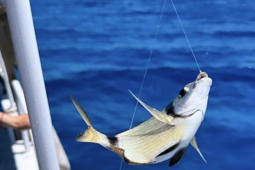 4 Hour Fishing and Swimming Boat Experience in Schisma Eloundas 2