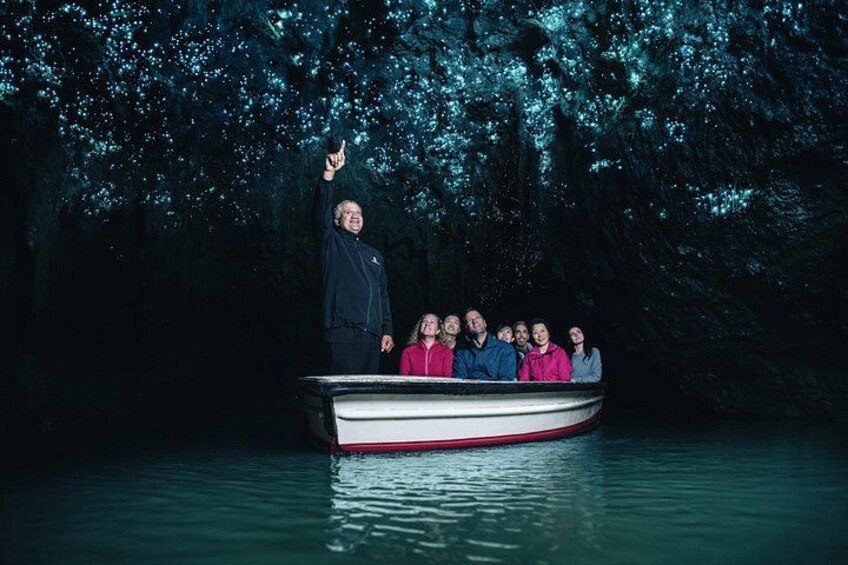 Auckland to Waitomo Glowworms, Kiwi House & Blue Springs Day Tour 2
