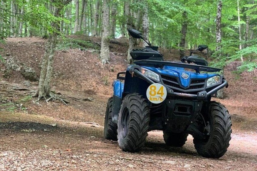 En blå ATV med et gult klistermærke foran, parkeret på en grusvej i en skov. 5