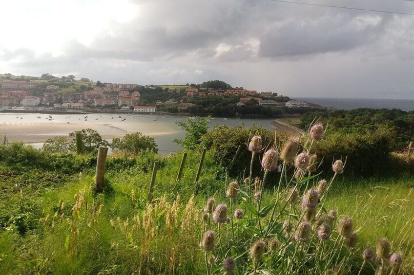 Landscape 3