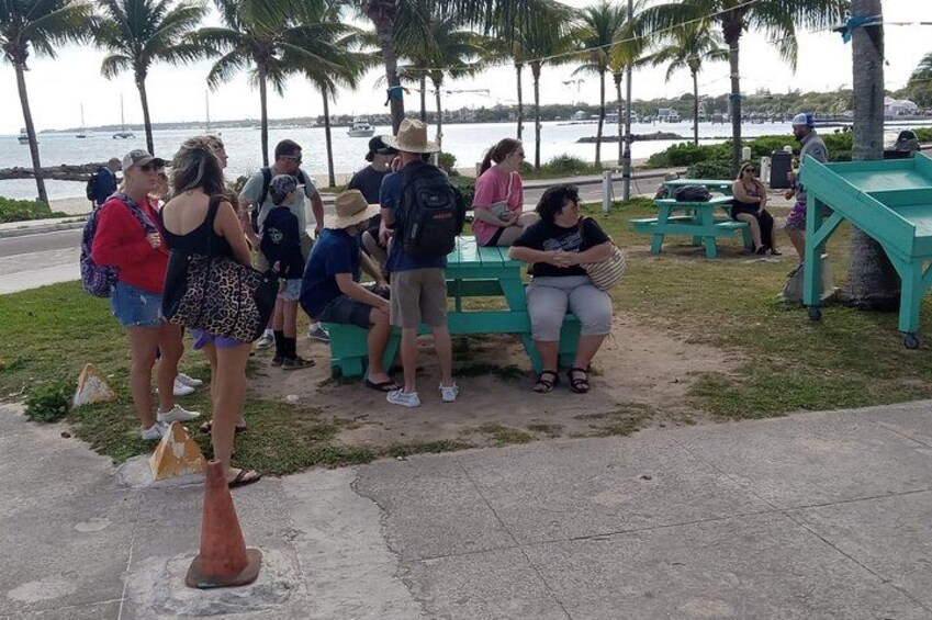 People sitting at picnic tables by a waterfront with palm trees and a road in the background. 4