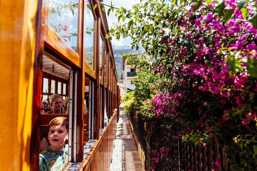 Mallorca: Exclusive Soller Train and Tram Half-Day Tour 4