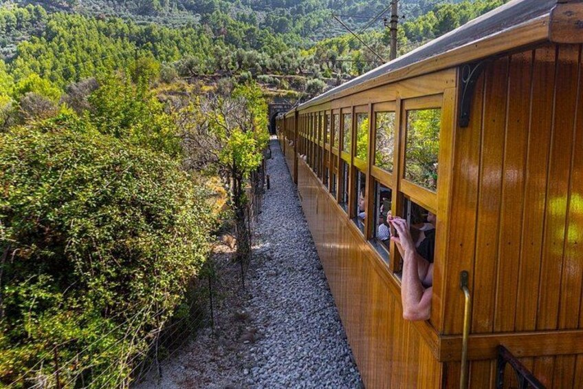 A wooden train on a narrow track surrounded by greenery. 3
