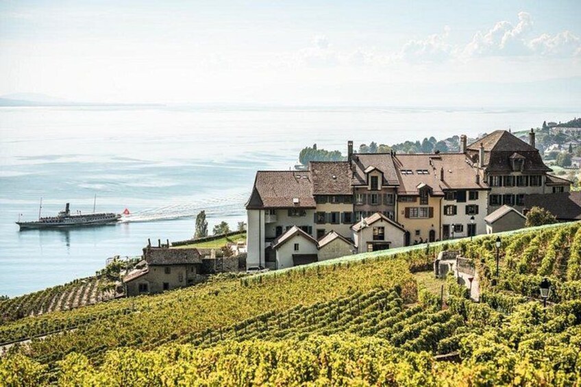 A vineyard, a large house, and a lake with a boat. 2
