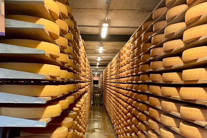A cheese aging room with rows of large wheels of cheese on shelves. 4