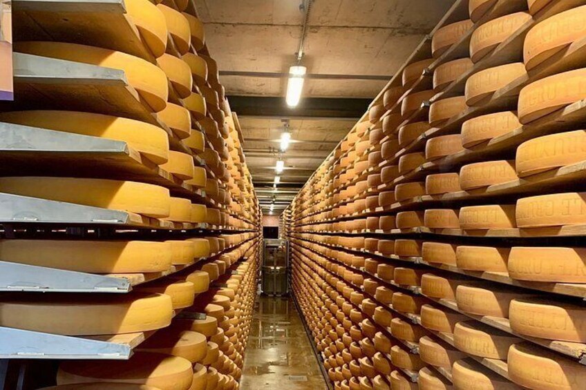 A cheese aging room with rows of large wheels of cheese. 3
