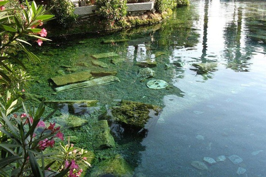 A pond with clear water, rocks, and aquatic plants. 4
