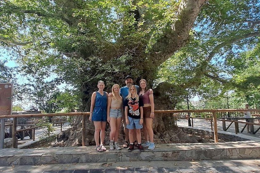 A group of people standing in front of a large tree with a wooden railing behind them. 2