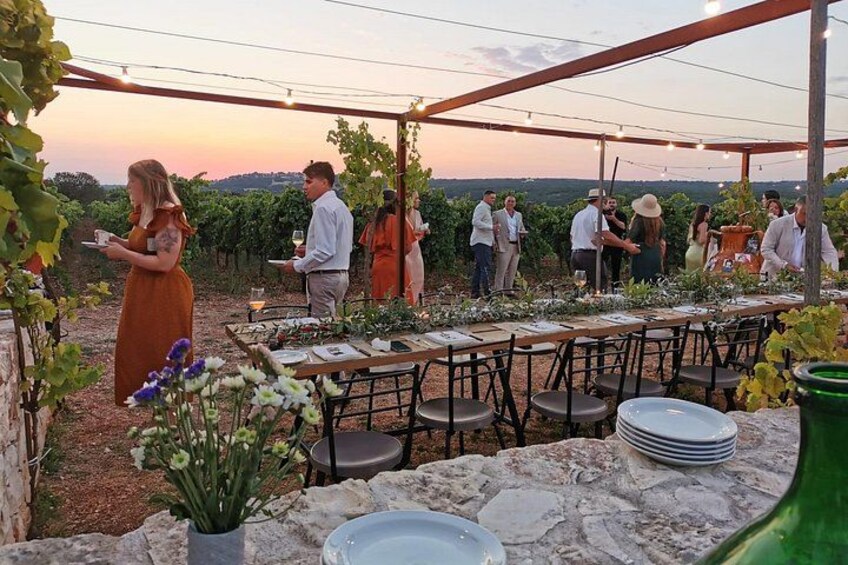 An outdoor event with a long table set up under a pergola, surrounded by chairs and guests. 1