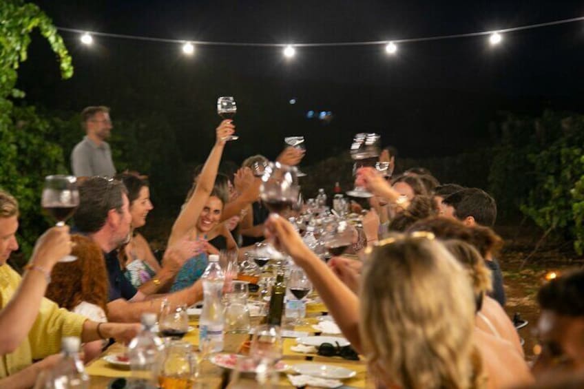 A group of people toasting with wine glasses at an outdoor dinner. 2