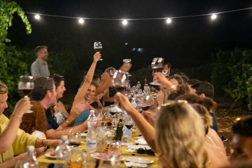 Dinner in the vineyard with wine tasting and walk 2