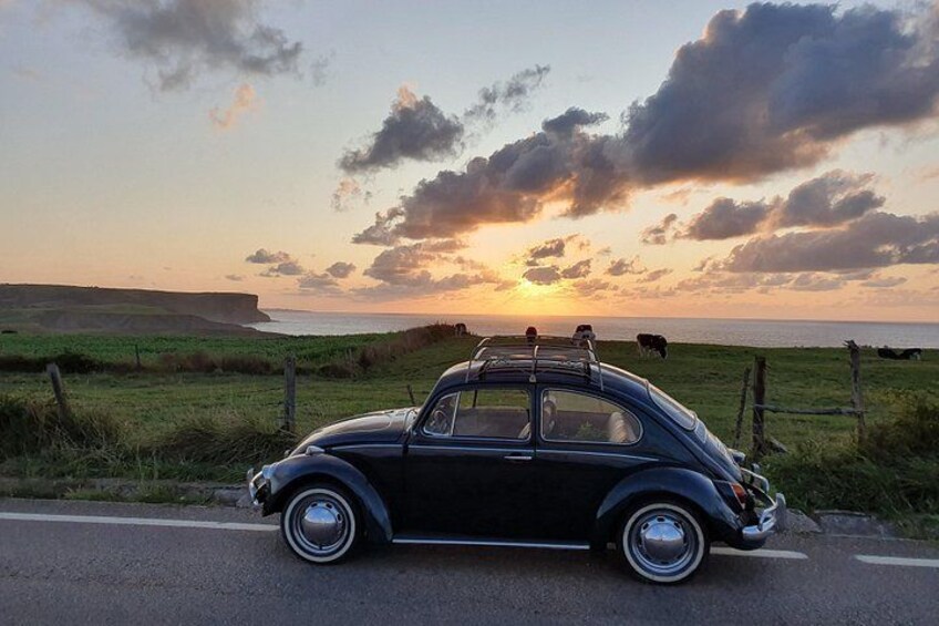 Classic Beetle Tour in Bilbao 3