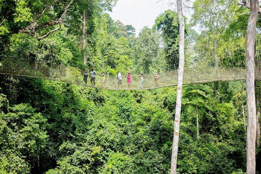 Kakum National Park 2