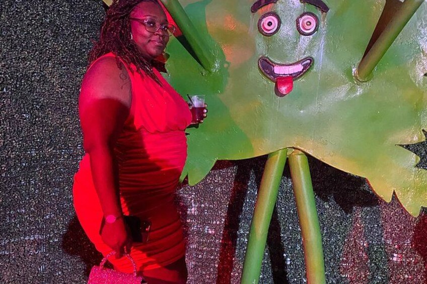 Montego Bay Nightlife Tour with Private Transportation 2