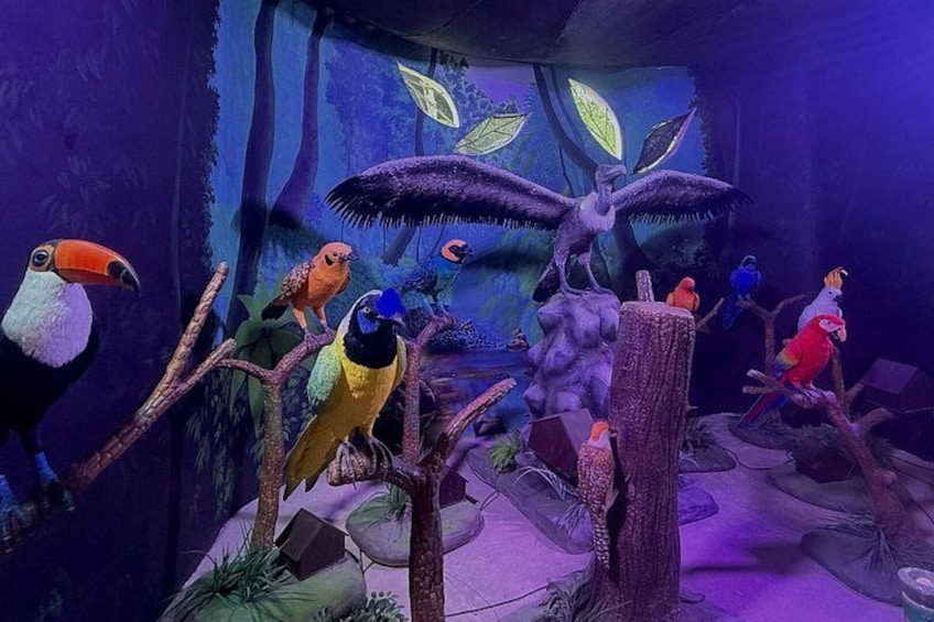 Visit Hacienda Naples Theme Park by Pablo Escobar 4