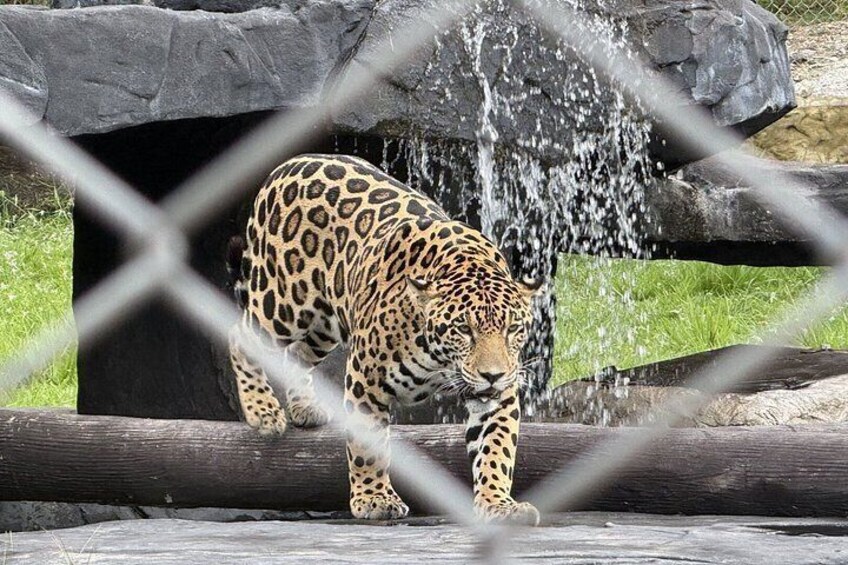 Visit Hacienda Naples Theme Park by Pablo Escobar 5